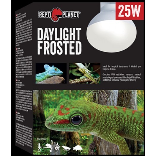 REPTI PLANET Daylight FROSTED lempa, 25 W 
